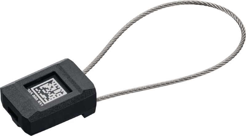 Adapter AI T320 w. Wires 10tk 